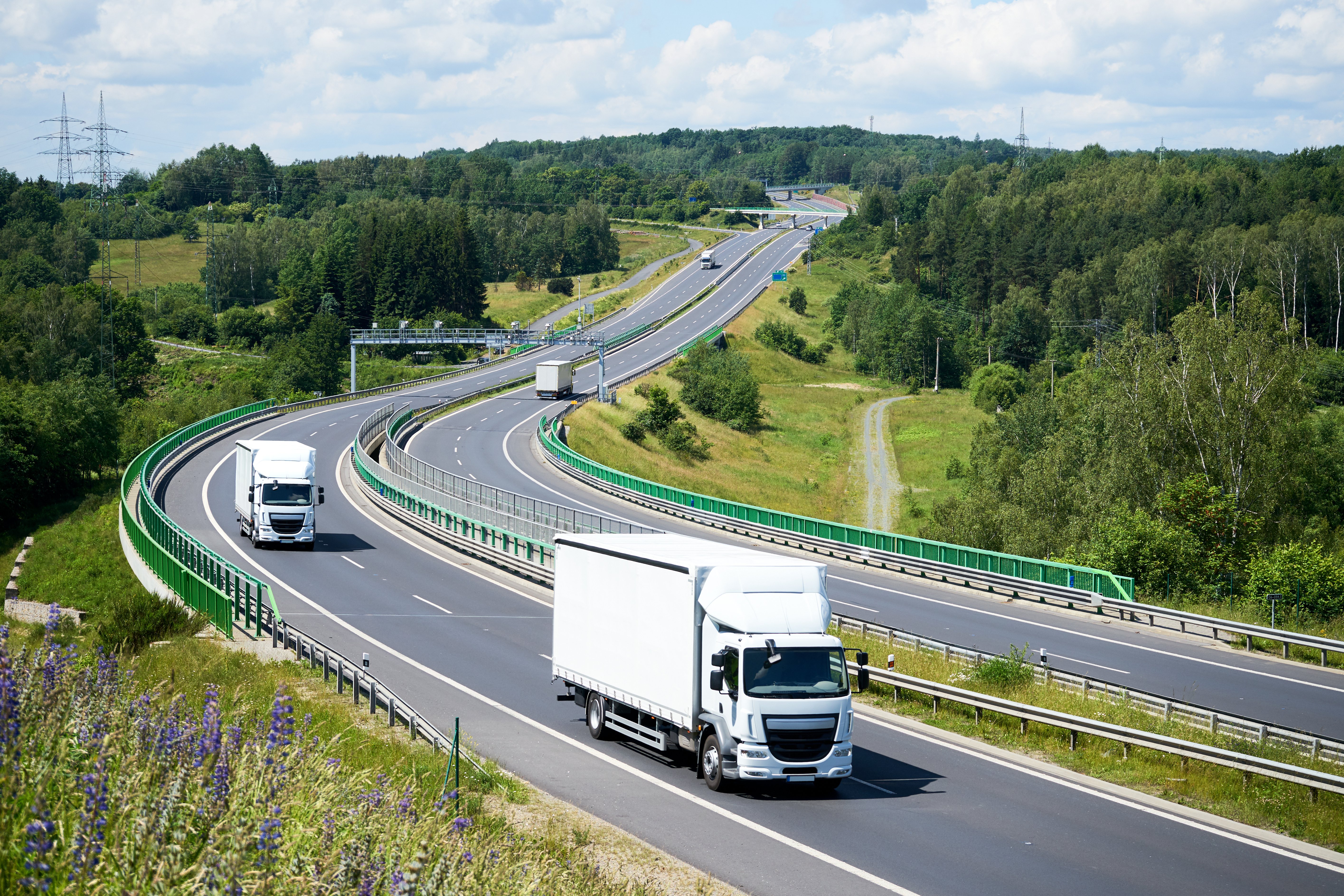 supply chain management distribution business